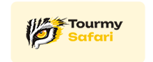 Tour My Safari