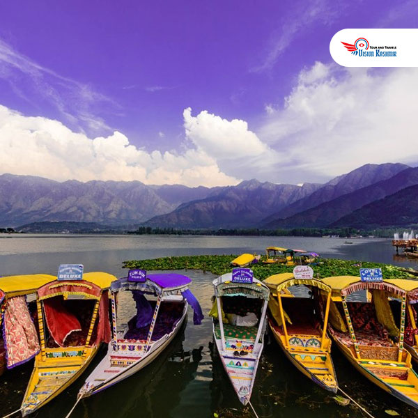 My VisionKashmir