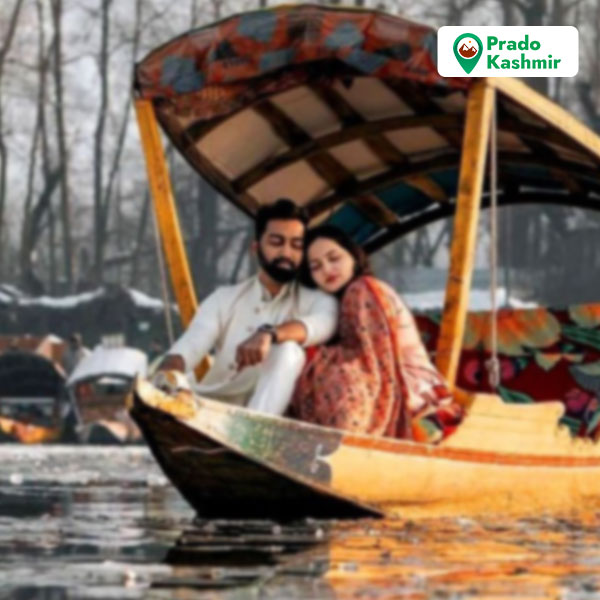 Prado Kashmir